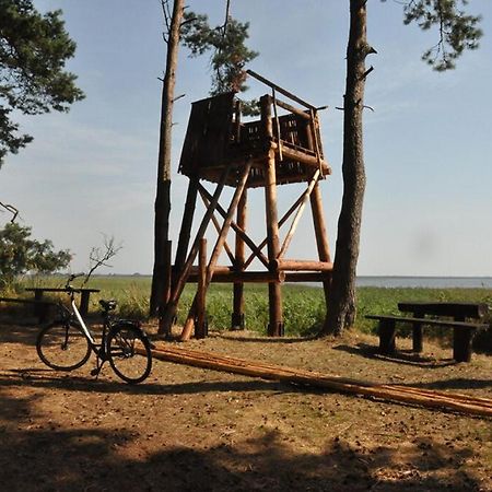Ferienhaus Harmonia Neuendorf Heide エクステリア 写真